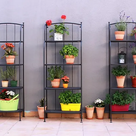 Quasimodo (adults Only)