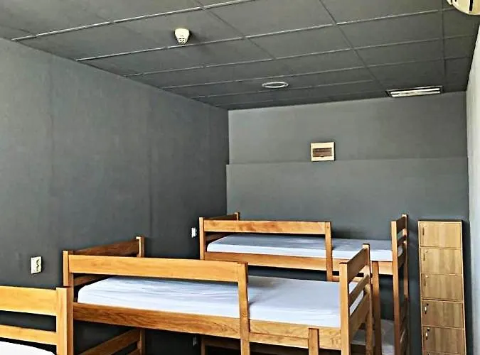 Quasimodo (adults Only) *