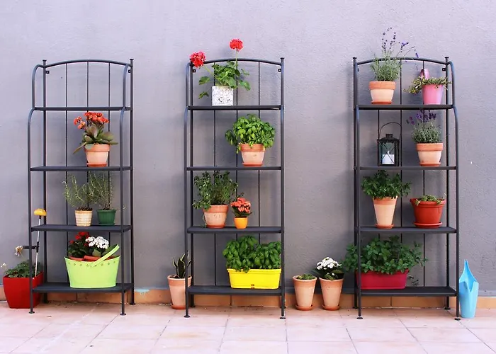 Quasimodo (adults Only)