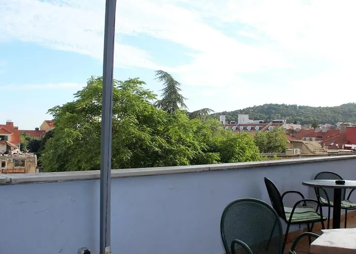 Quasimodo (adults Only) * Split